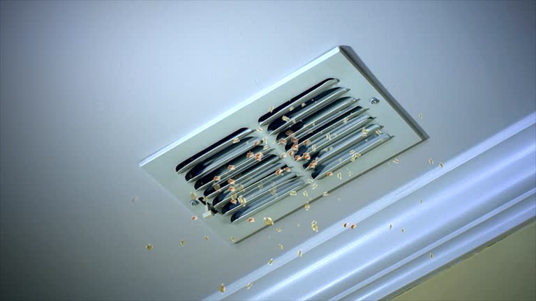 Best Commercial Air Duct Cleaning  in Florence, TX