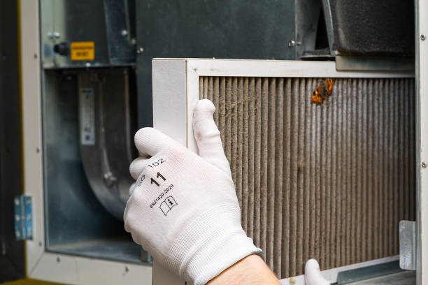 Best Home Air Vent Cleaning  in Florence, TX