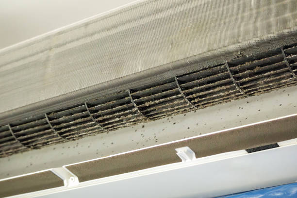Best Best Air Duct Cleaning Company  in Florence, TX